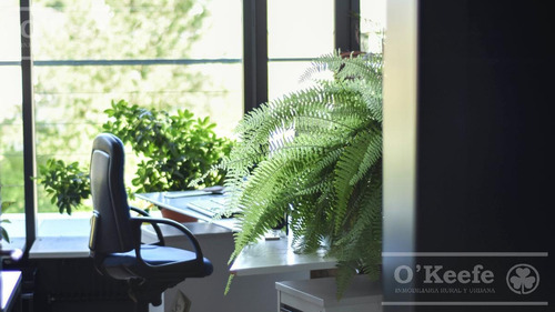 Imagen 4 de 30 de Oficina- Coworking - Venta En Pozo -capitalización Y Renta - Hudson-zona Sur- Berazategui