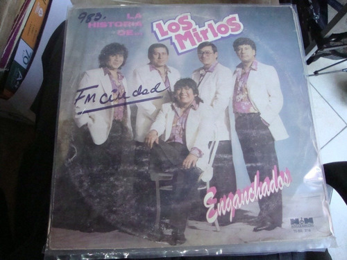 Vinilo Los Mirlos La Historia Enganchados C3