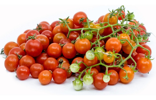 Tomate Lilliput  O Menor Do Mundo Sementes Para Mudas