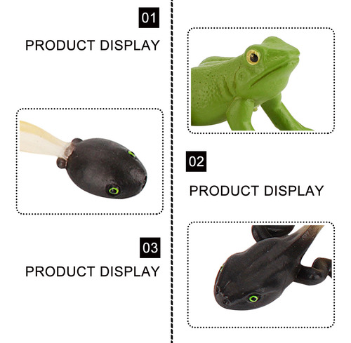 Figura De Insecto Life Cycle Plastic Brood To Period, 5 Piez