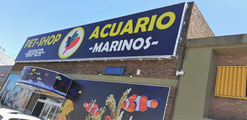 Imagen 4 de 5 de Pasta Embuche 21/9 Aves Pichones Canarios Exzootix 500gr