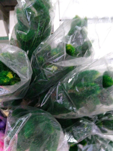 Ramo De Colita De Vison Grande, Variedad De Colores
