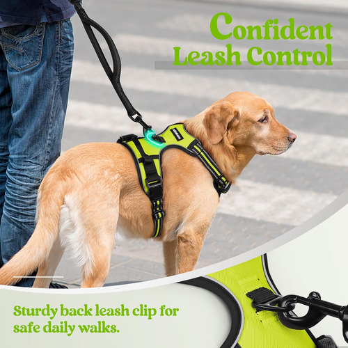 Arnés Para Perro Rabbitgoo No Pull, Ajustable, Xl, Con Clips
