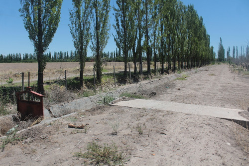 Imagen 22 de 30 de Vendo Finca 57 Hectareas Con Dos Perforaciones En Goudge- San Rafael