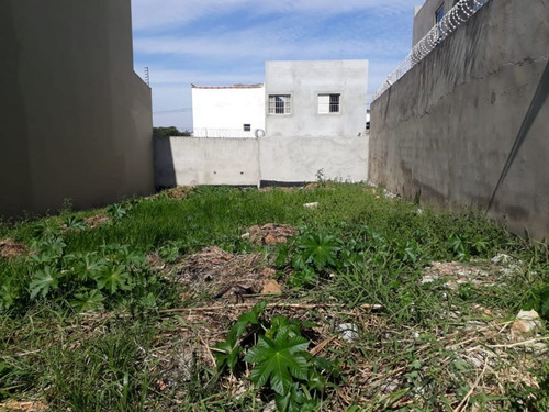 Imagem 2 de 14 de Terrenos Ou Lotes Residenciais Para Venda No Bairro Parque Flamengo Em Guarulhos - Cod: Ai21948 - Ai21948