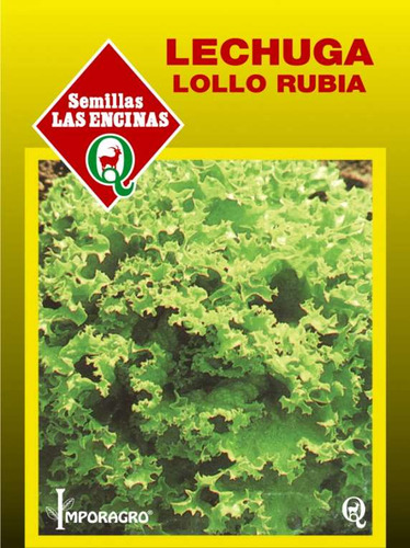 Semillas De Lechuga Lollo Bionda (rubia)