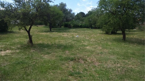 Lote De 1000 Mts En Barrio Olivares
