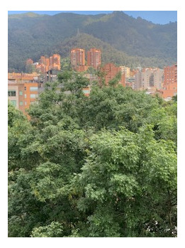 Bogota Arriendo Apartamento Amoblado En La Cabrera Area 320 Mts