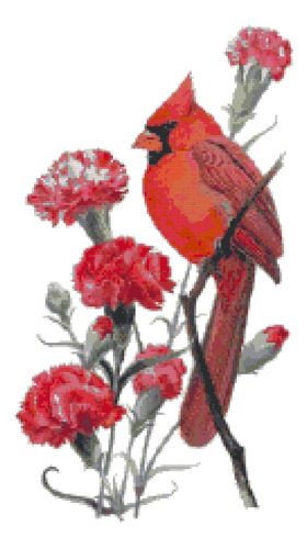 Ohio State Diseño Pajaro Flor Clavel Color Cardinal Norte