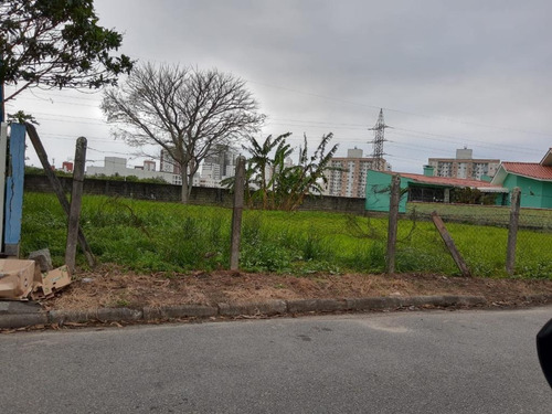 Terreno À Venda, 412 M² Por R$ 425.000,00 - Passa Vinte - Palhoça/sc - Te0831