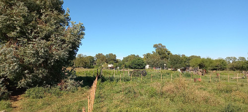 En Venta Lote De Quinta Tapalque
