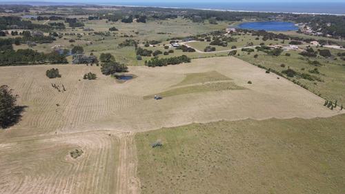 Imagen 19 de 30 de Chacra En Venta, Fraccion De 20 Has En Jose Ignacio (ref: Atm-6766)