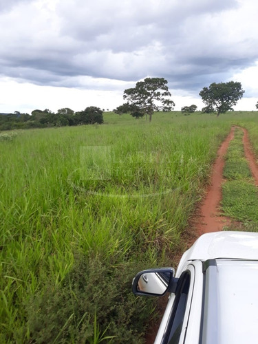 Imagem 11 de 13 de Oportunidade. Fazenda Pecuária Para Venda Em Gurinhata-mg, Região De Ituiutaba, Com 60 Alqueires Sp, Terra Mista, Formada Em Pasto, Mina Dagua, Cerca - Fa00122 - 69310914