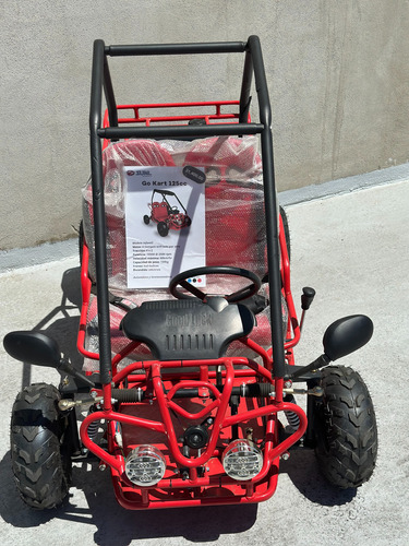 Go Kart Buggy 125cc Infantil (semi Y Automatico)