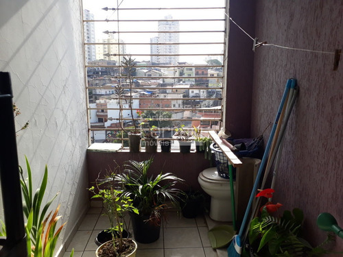 Imagem 13 de 15 de Casa Na Região Lauzane - Cf10313