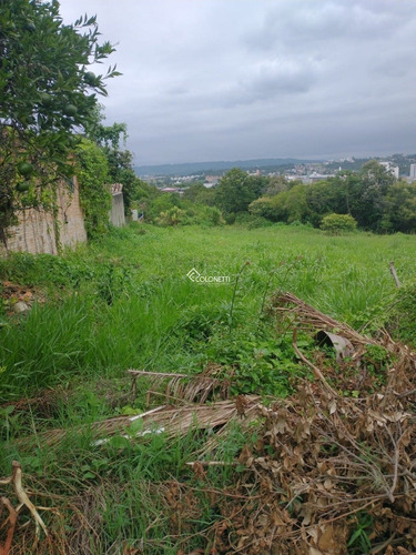 Imagem 5 de 7 de Terreno - Milanese - Ref: 1635 - V-1635