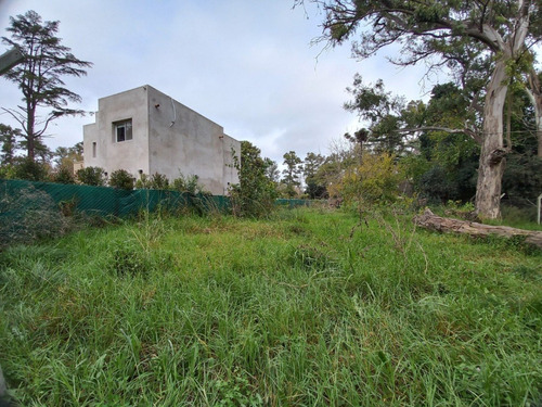 Imagen 6 de 9 de Terreno En Venta. Oportunidad