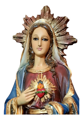  Bella Imagen Virgen Del Sagrado Inmaculado Corazón De María