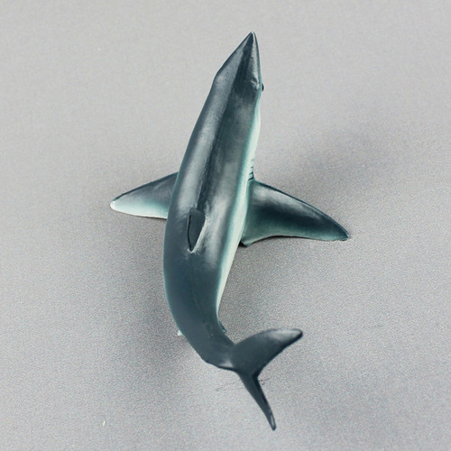 Decoración De Organismos Marinos Con Modelo Animal De Alta S