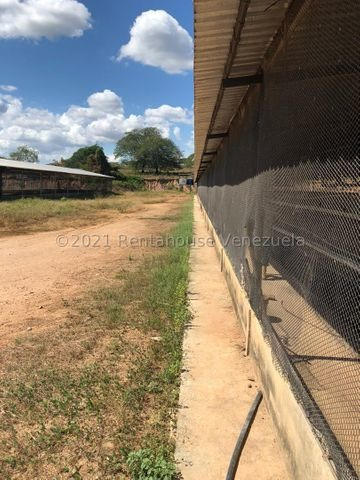 Imagen 11 de 14 de Venta De Granja Avicola En El Zulia Para Inversionistas