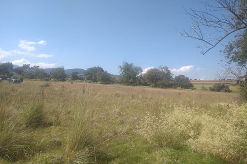 Terreno En Venta En Tlacotepec, Toluca, Estado De México