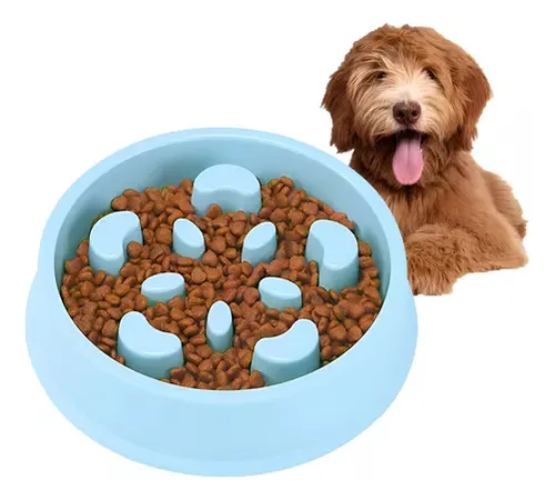 Plato Anti Ansiedad Come Lento Para Perros Mascotas Perro Gatos Roro