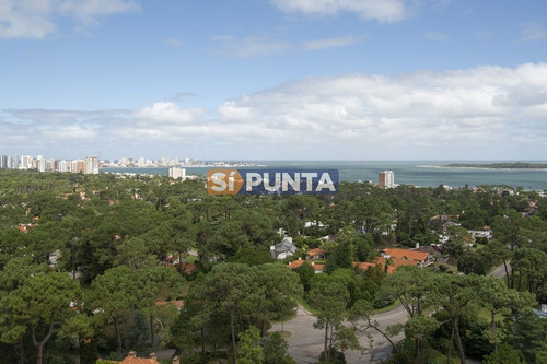 Imagen 18 de 18 de Hermoso Departamento En Venta.