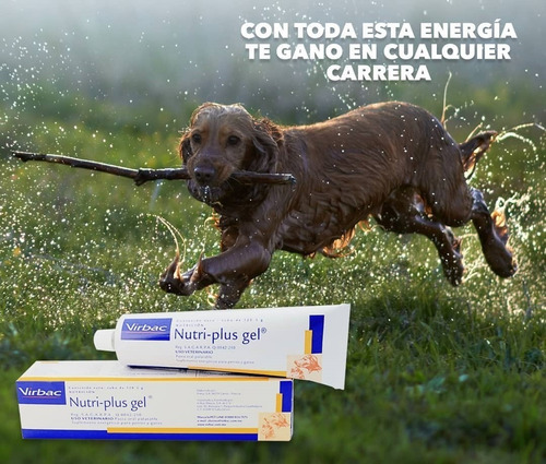 Imagen 4 de 4 de Nutriplus Gel Virbac Suplemento Energético Perros Y Gatos