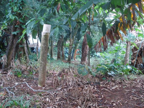 Imagem 4 de 5 de Ref 4009 - Terreno Com 1.385 M2 - 2 Frentes C/ Imovel . Bom Para Condomínio ! - 4009