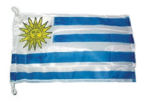 Bandera Uruguaya Con Sol 45x30 Cm Reforzada Náutica