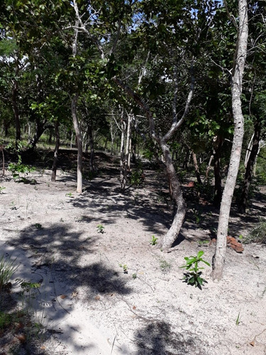 Imagem 9 de 11 de Vende/troca Chácara 13x77 Beira Do Lago/luzimangues
