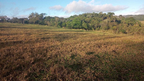 Imagem 6 de 7 de 11- Ultimas Unidades