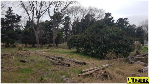 Imagen 6 de 14 de Lote De 5500 M2 A Metros De La Ruta Interbalnearia