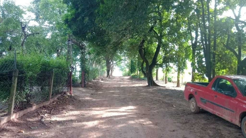 Imagem 27 de 29 de Sitio Com 63 Hectares De Leite Casa Branca Sp 6.500,000,00 - 44800