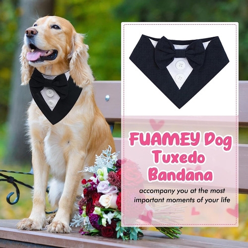 (r-l) Collar Para Perros Y Gatos Con Pajarita En El Cuello,