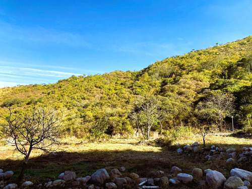 Venta De Terreno En Lozano