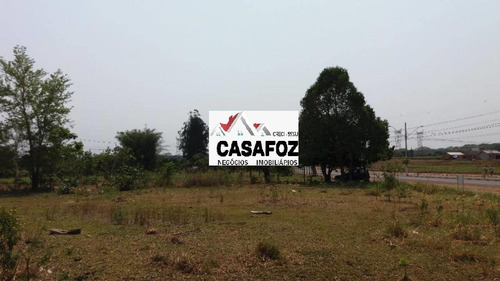 Imagem 4 de 13 de Te0013 - Excelente Oportunidade De Negócio! Terreno À Venda No Loteamento Universitário Das Américas - Te0013