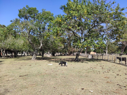 Quinta En Venta- 12 Has Con Pileta- Verónica