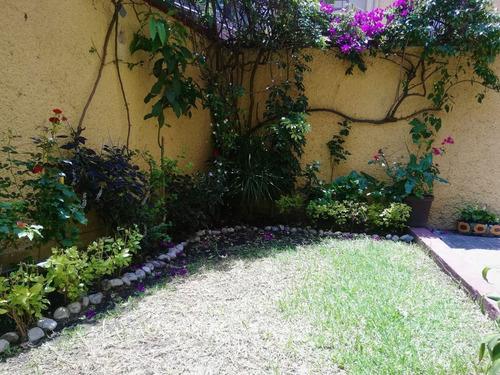 Imagen 25 de 30 de Casa En Del Carmen Coyoacan
