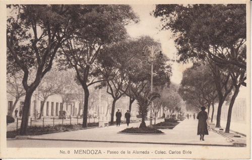 Antigua Postal Birle Paseo De La Alameda Mendoza Argentina 