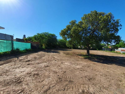 Imagen 3 de 5 de Terreno De 13 X 45, Con Todos Los Servicios Y Excelentes Vistas