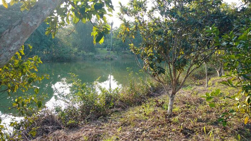 Venta Terreno 5000 M2 Frente Al Estero De Juana Moza Tuxpan Veracruz