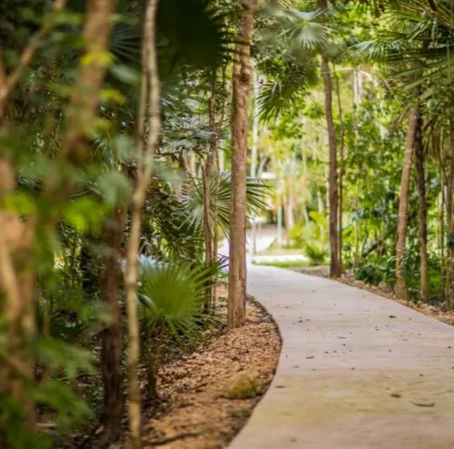 Tu Casa En Ciudad Mayakoba Estilo, Confort Y Ubicación