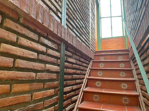 Las Araucarias Norte (73600)