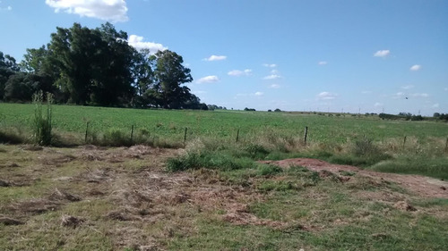 Imagen 4 de 7 de Unidad De Producción Avícola, 285km De Bs. As. Sobre Ruta