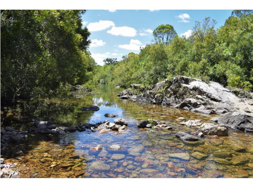 Chacra - Pueblo Edén