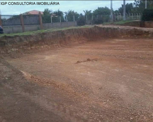Imagem 7 de 7 de Terreno - Te02655 - 34888977