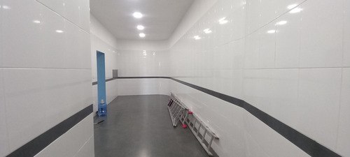 Local Comercial Adolfo Ruiz Cortinez
