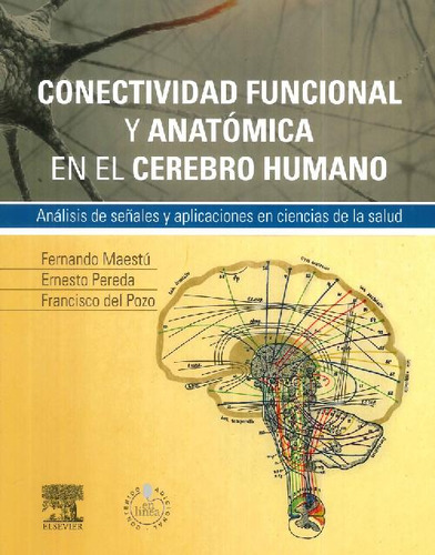 Libro Conectividad Funcional Y Anatómica En El Cerebro Human
