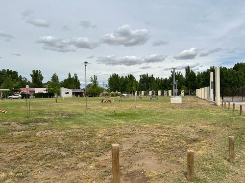 Imagen 2 de 11 de Venta Terreno 600 Mts Las Catalpas